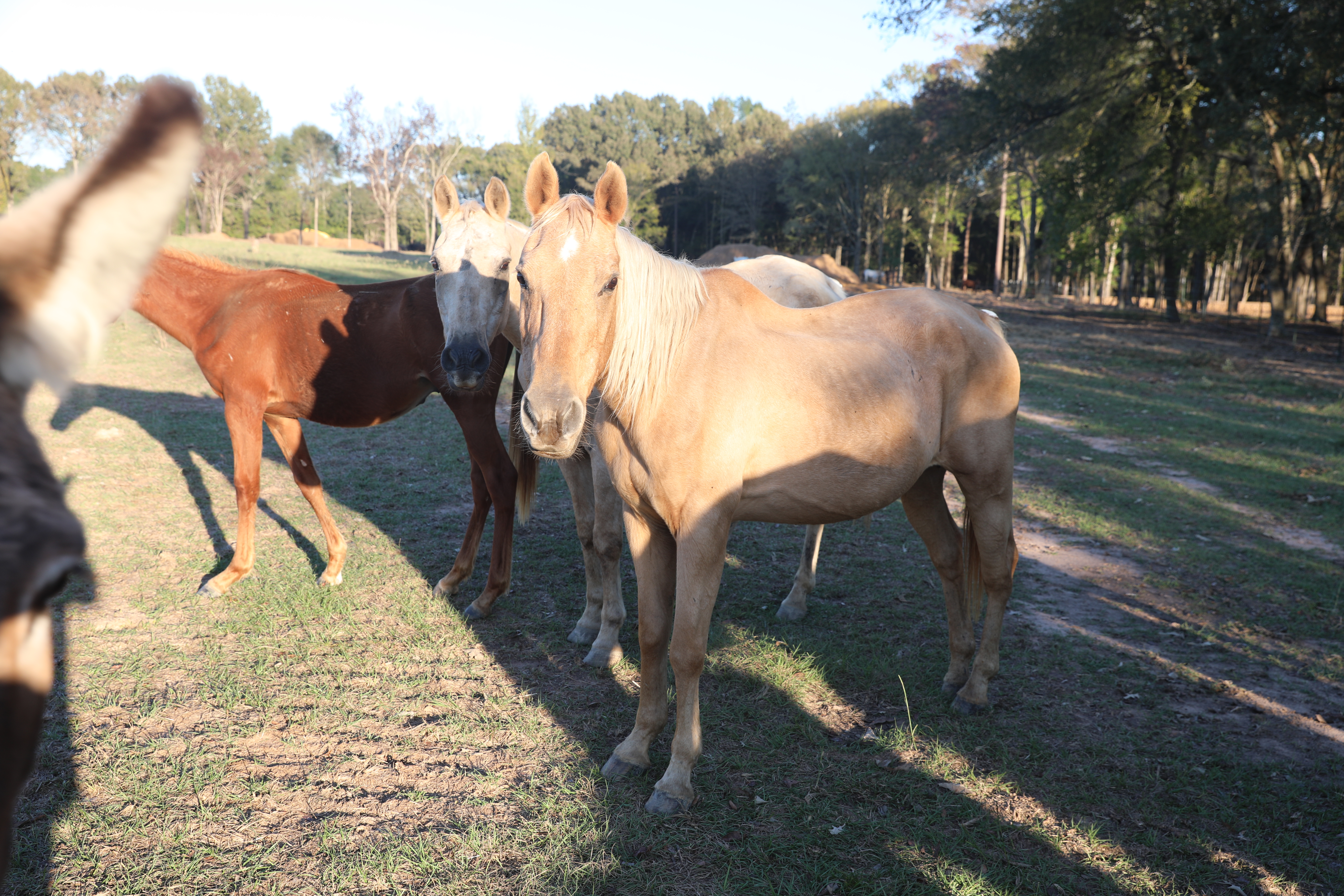 huk (copy) huk (copy)