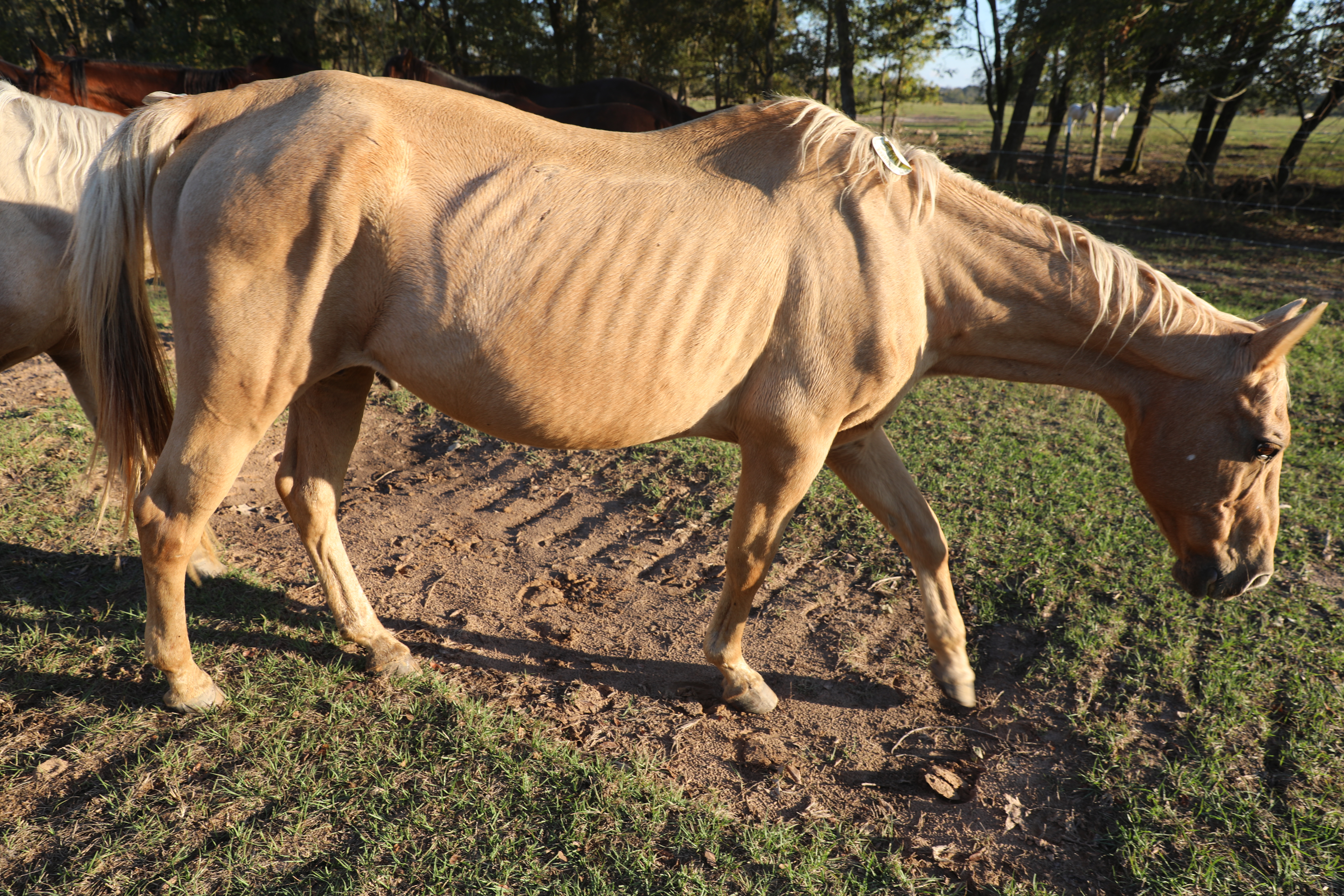 huk (copy) huk (copy)