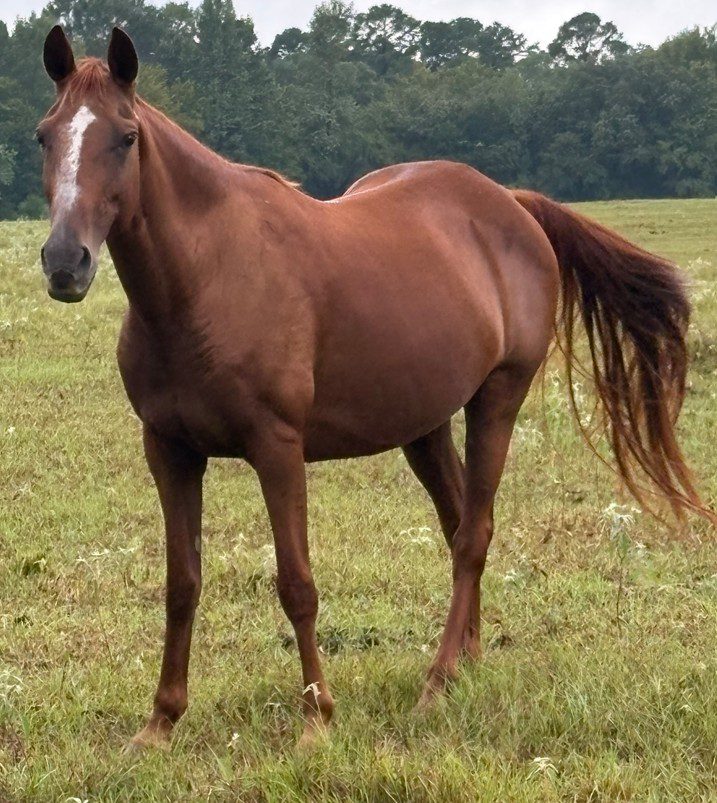 bobby (copy) bobby (copy)