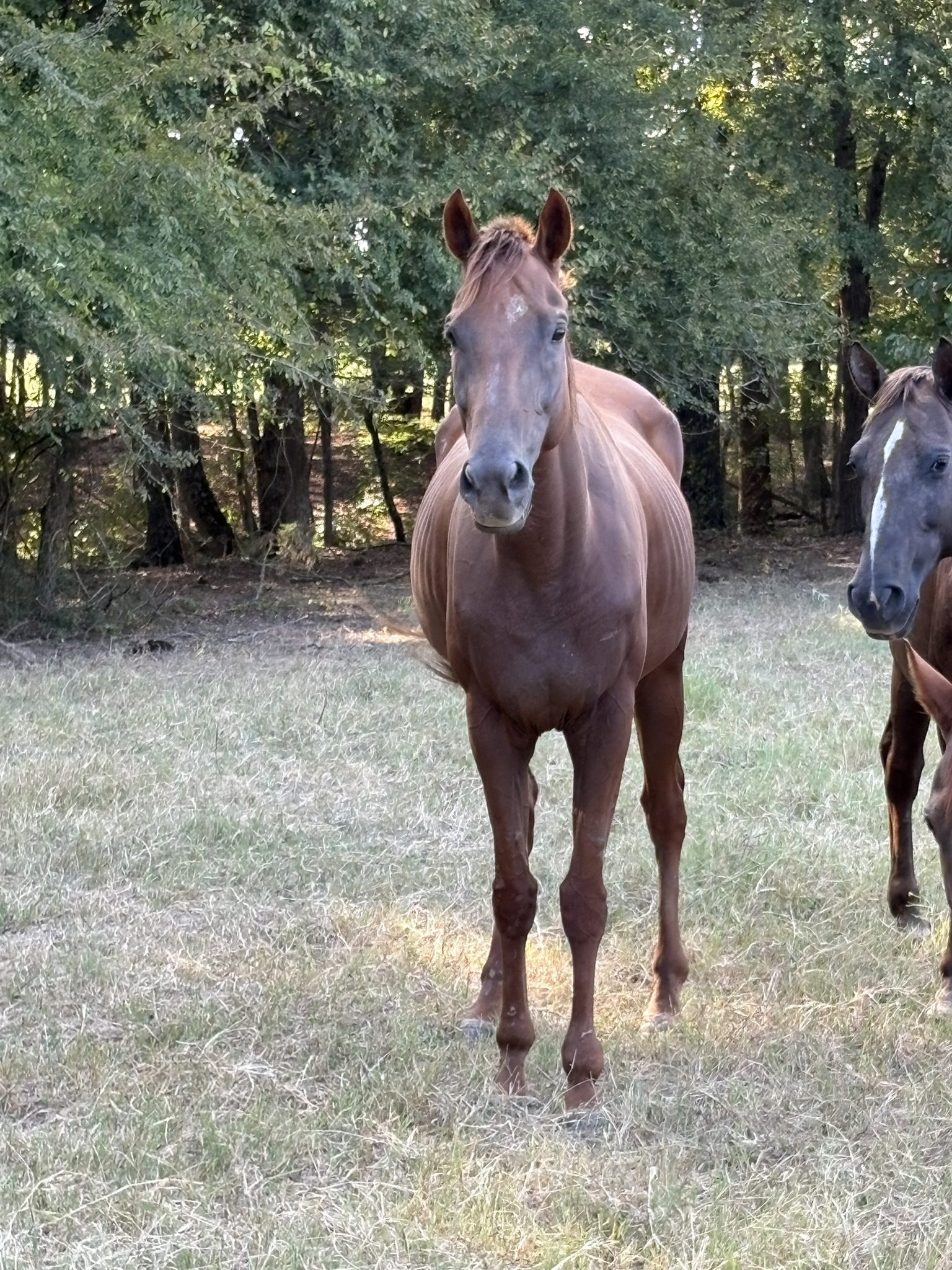 mallory (copy) mallory (copy)