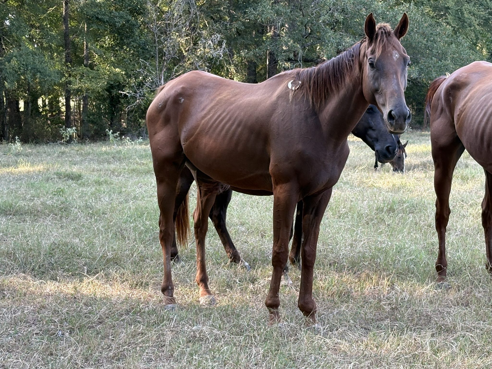 mallory (copy) mallory (copy)