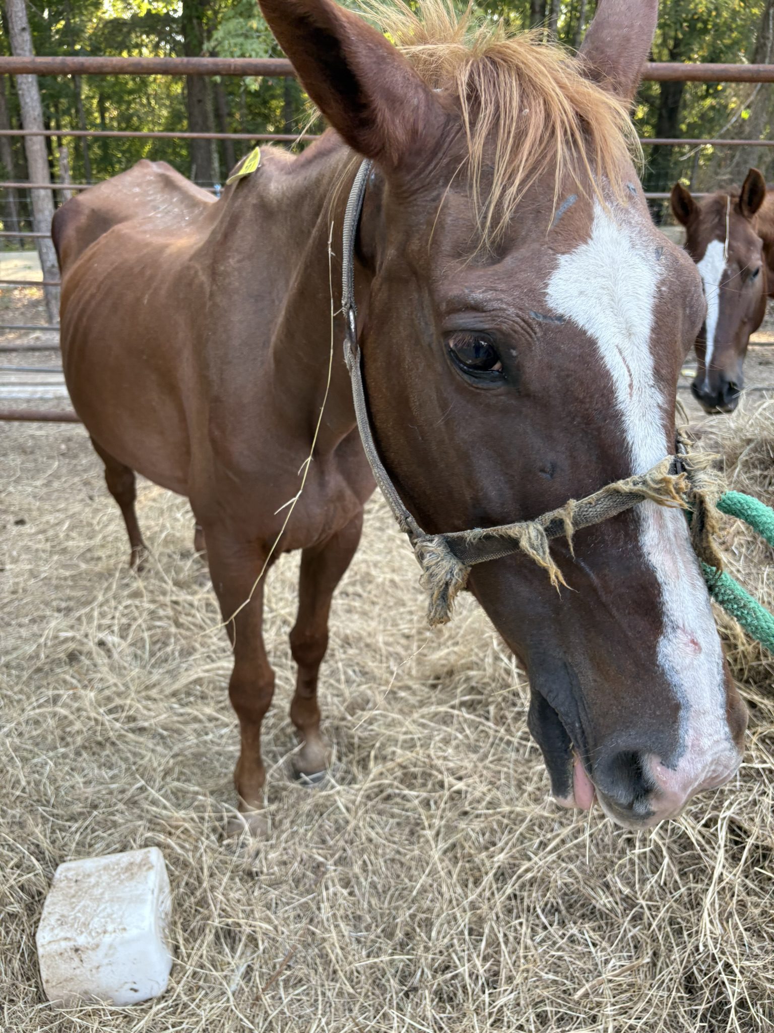 auto draft auto draft