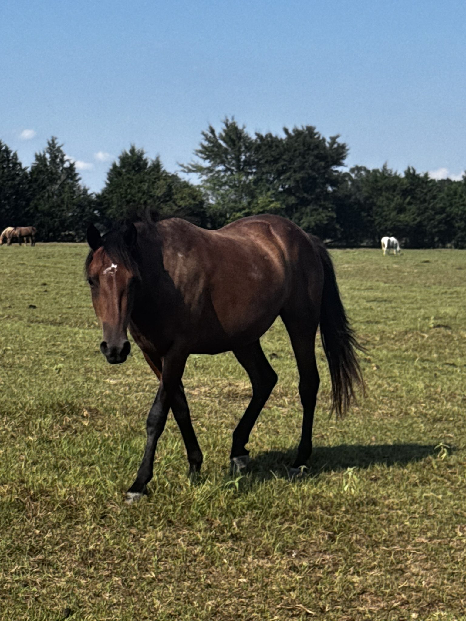 auto draft auto draft