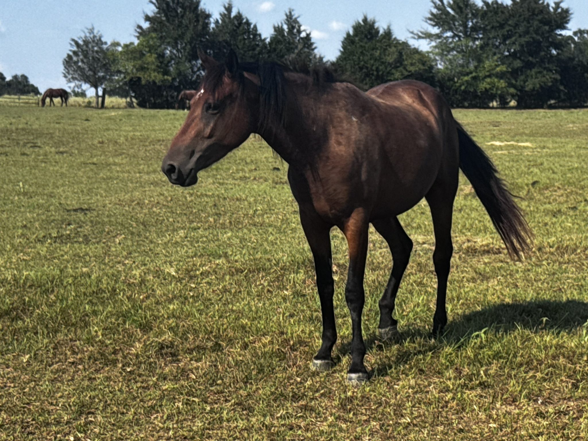 auto draft auto draft