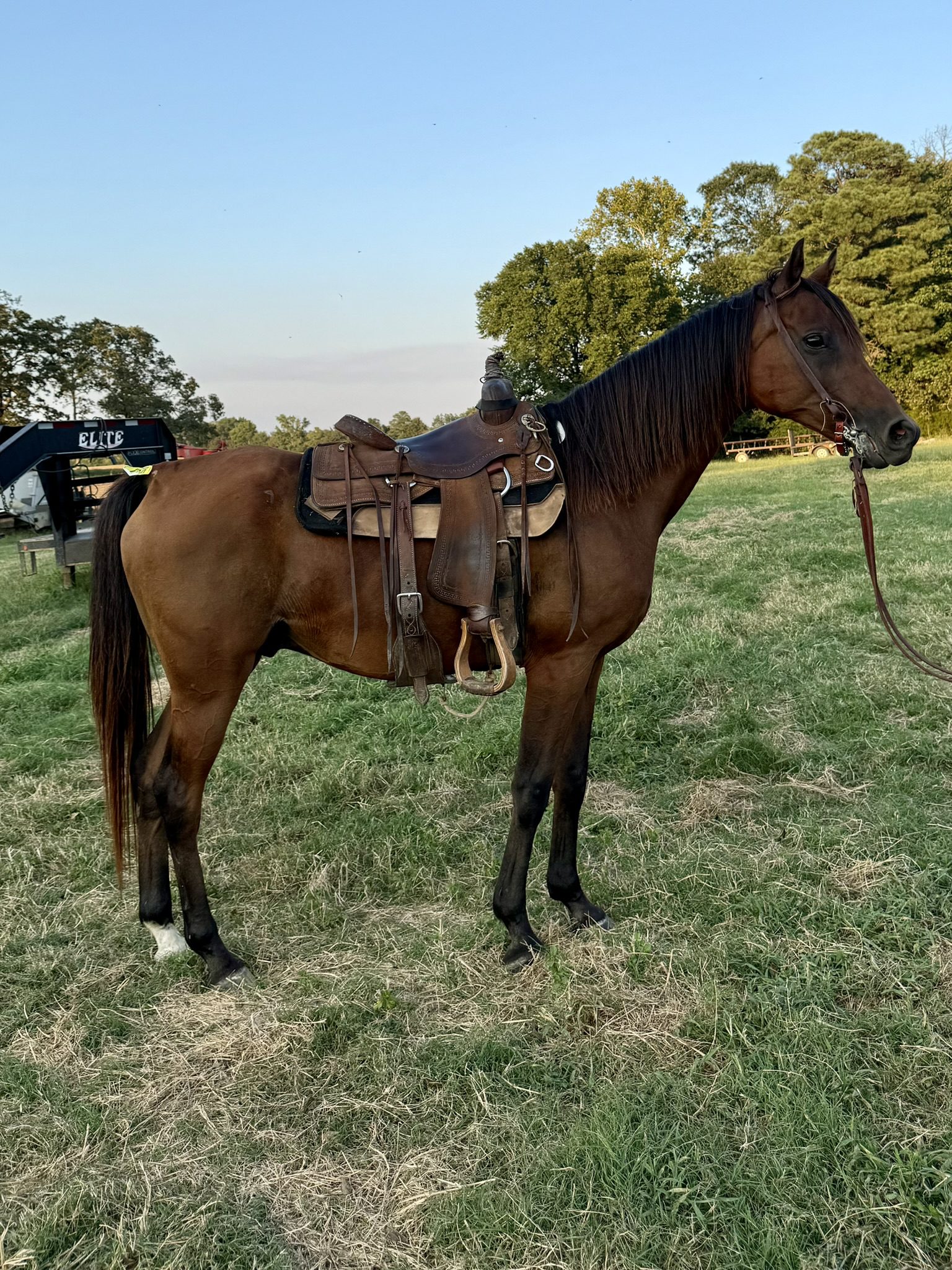 sanjay (copy) sanjay (copy)