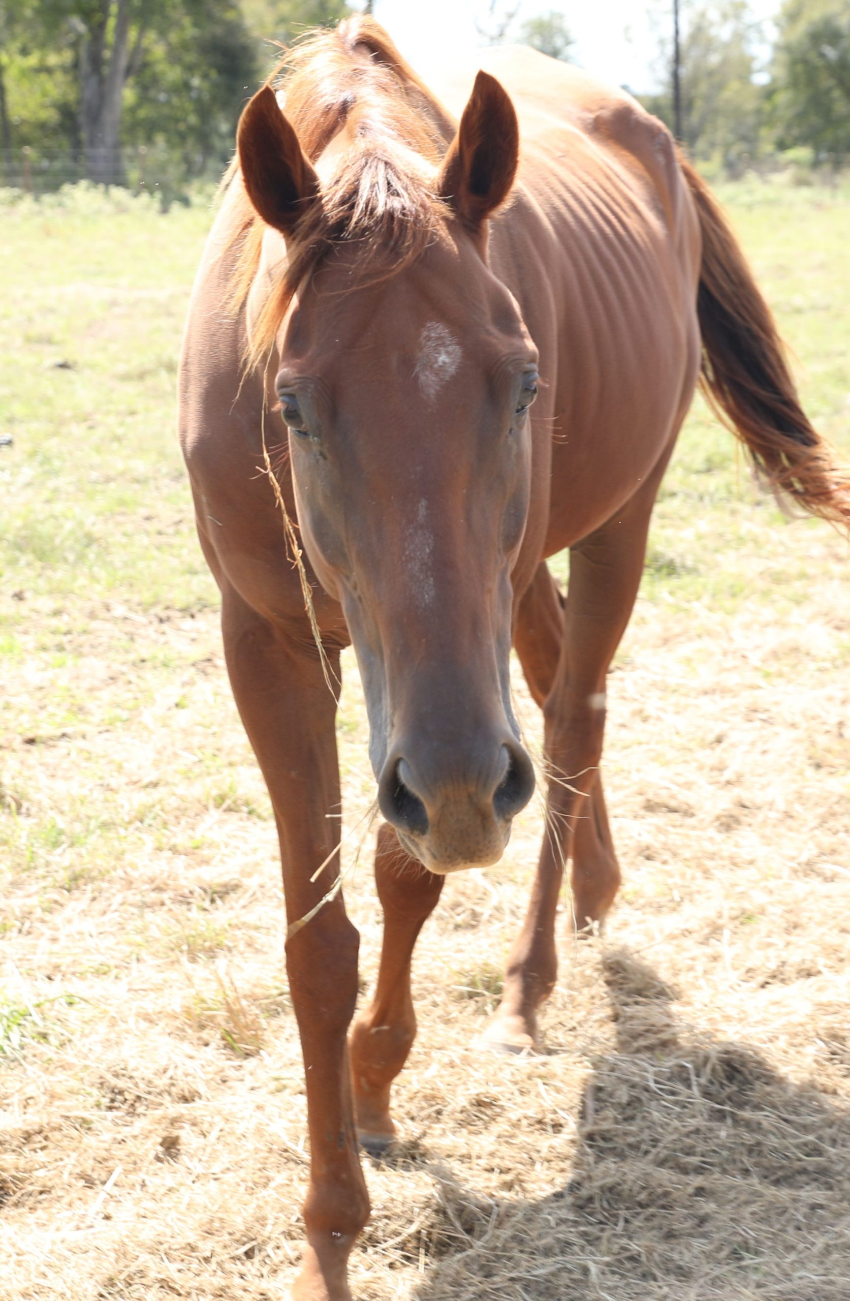 mallory (copy) mallory (copy)