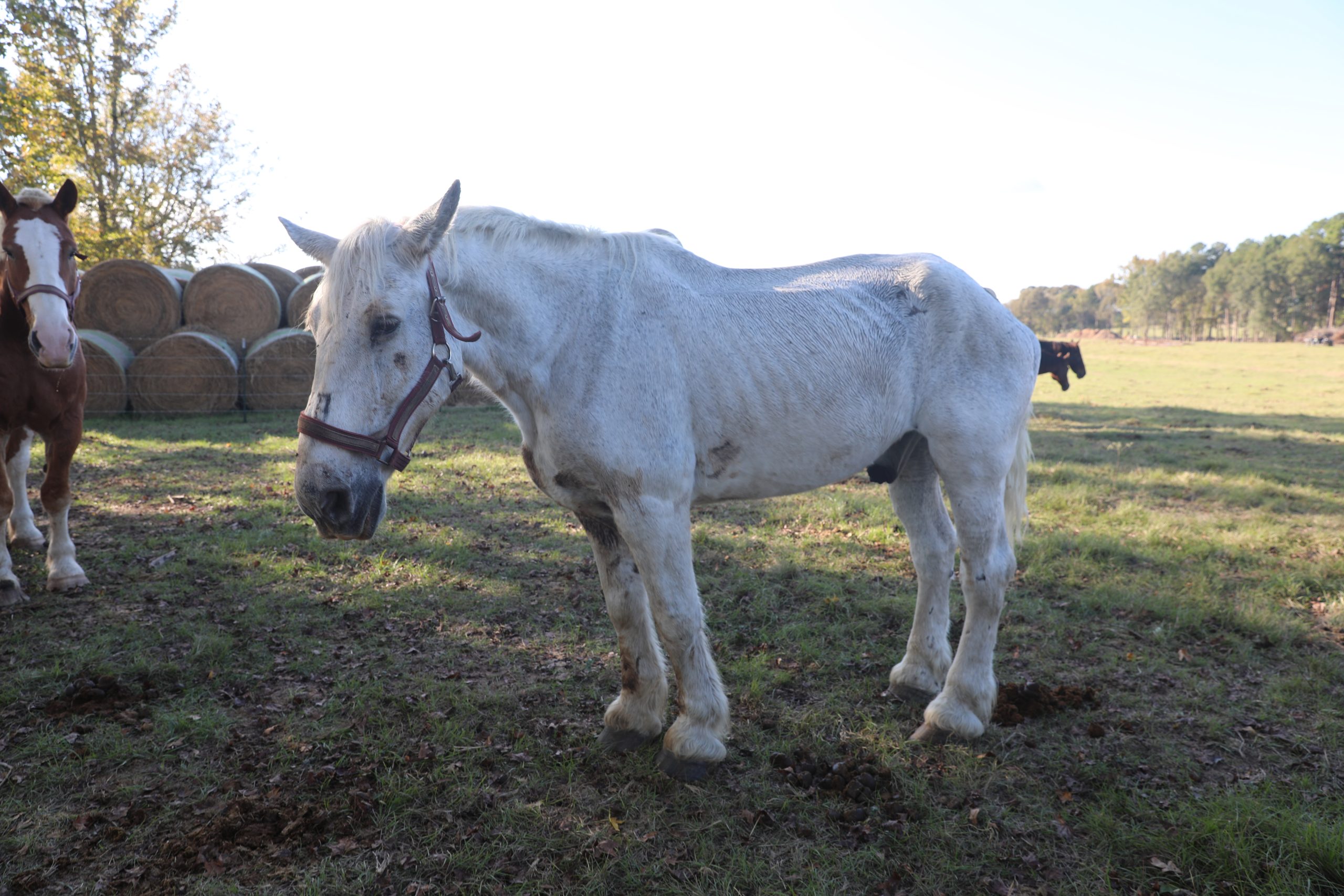 chomp (copy) chomp (copy)