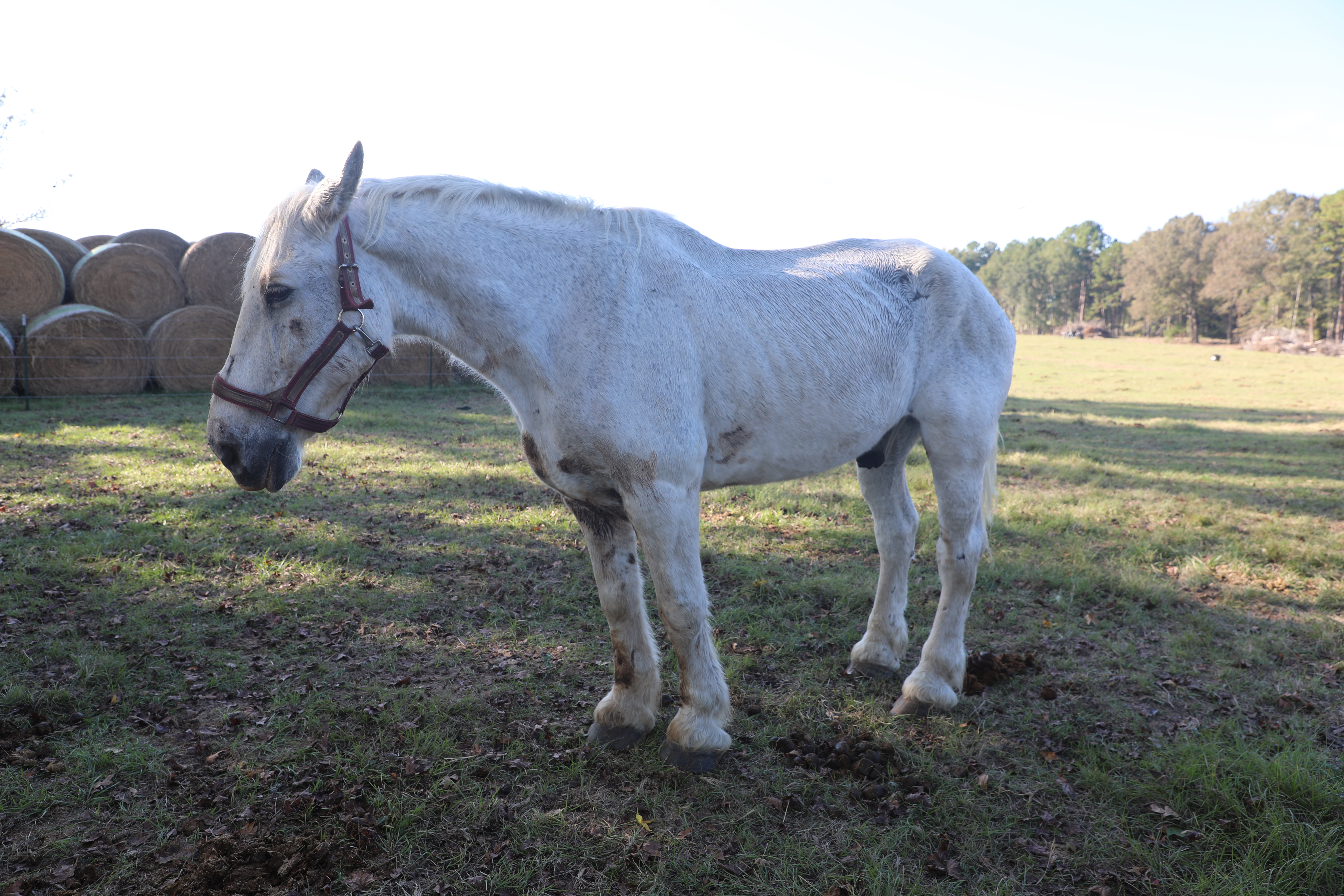 chomp (copy) chomp (copy)