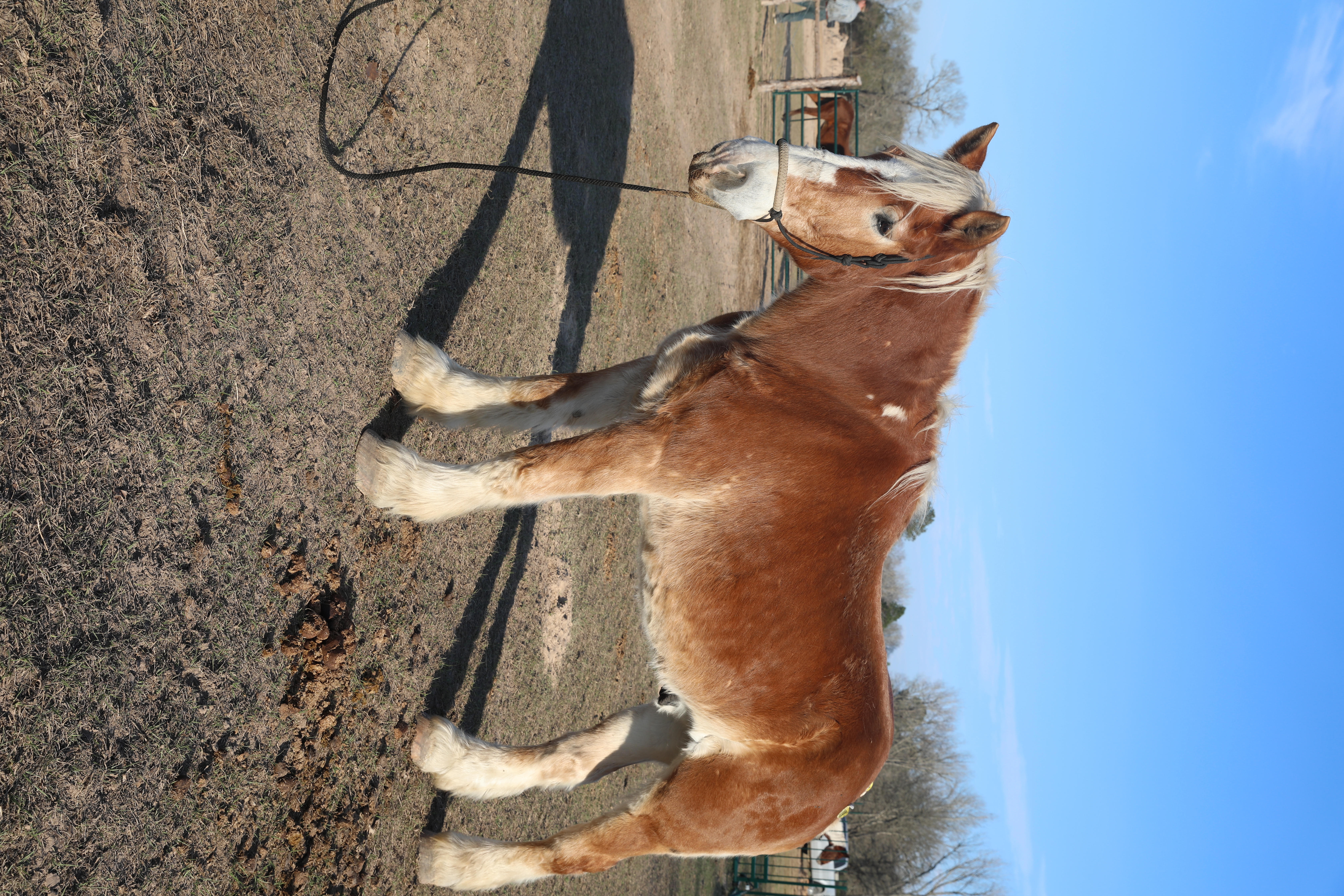 ken (copy) ken (copy)