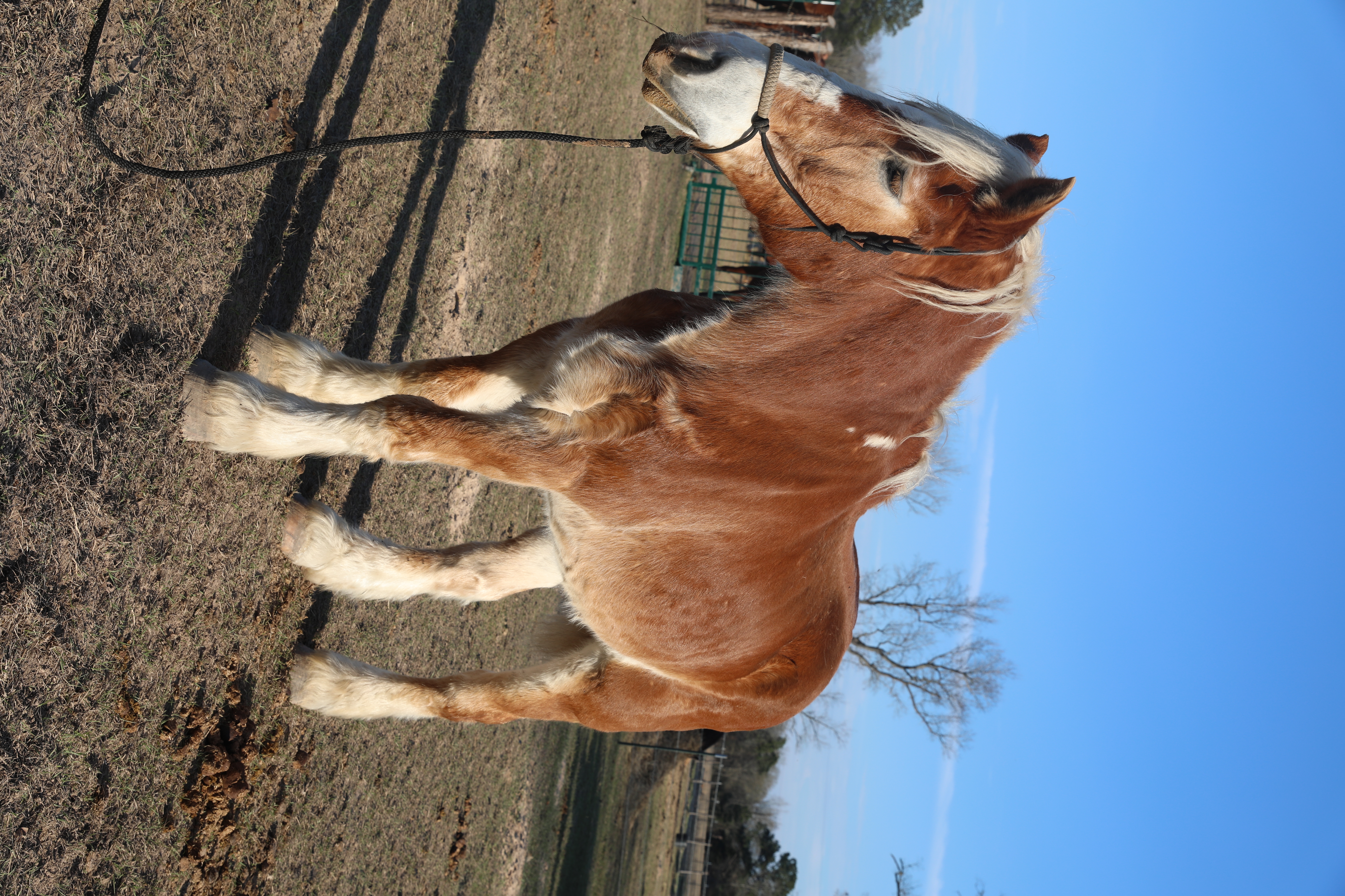 ken (copy) ken (copy)