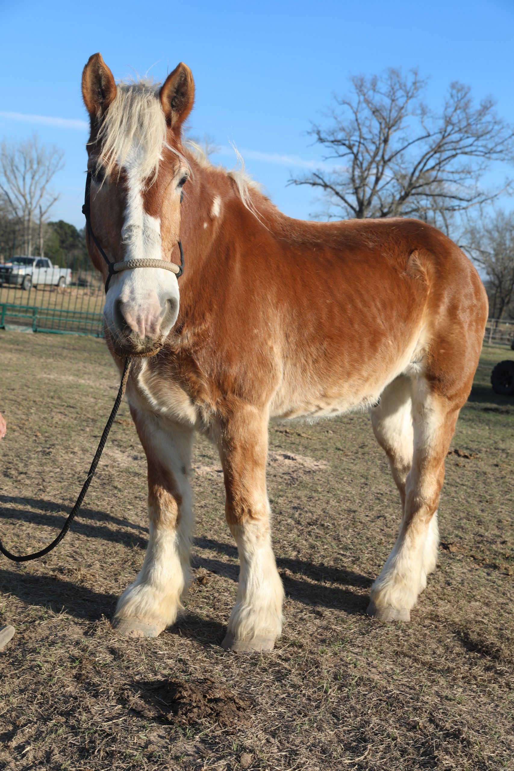 ken (copy) ken (copy)