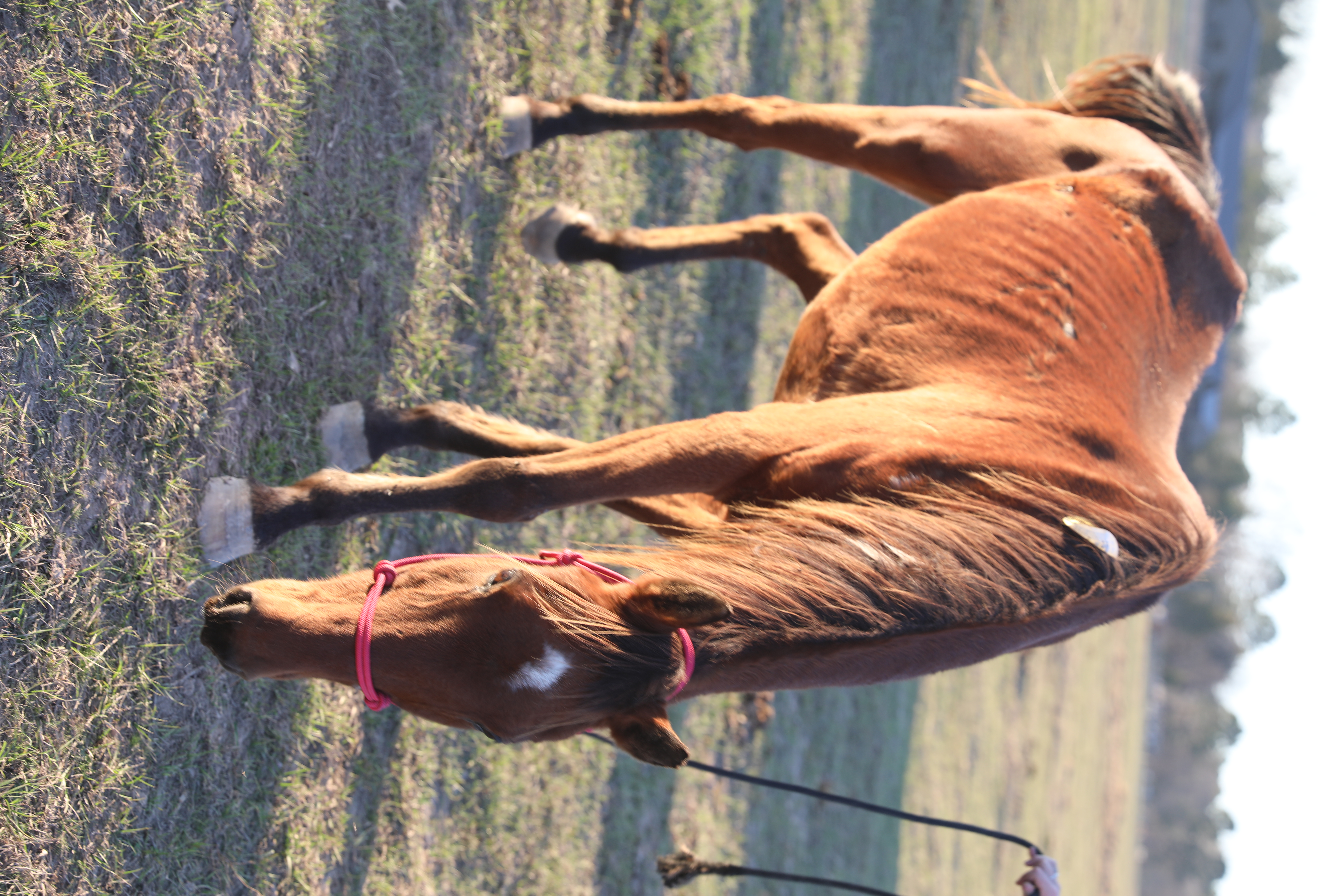 chili (copy) chili (copy)