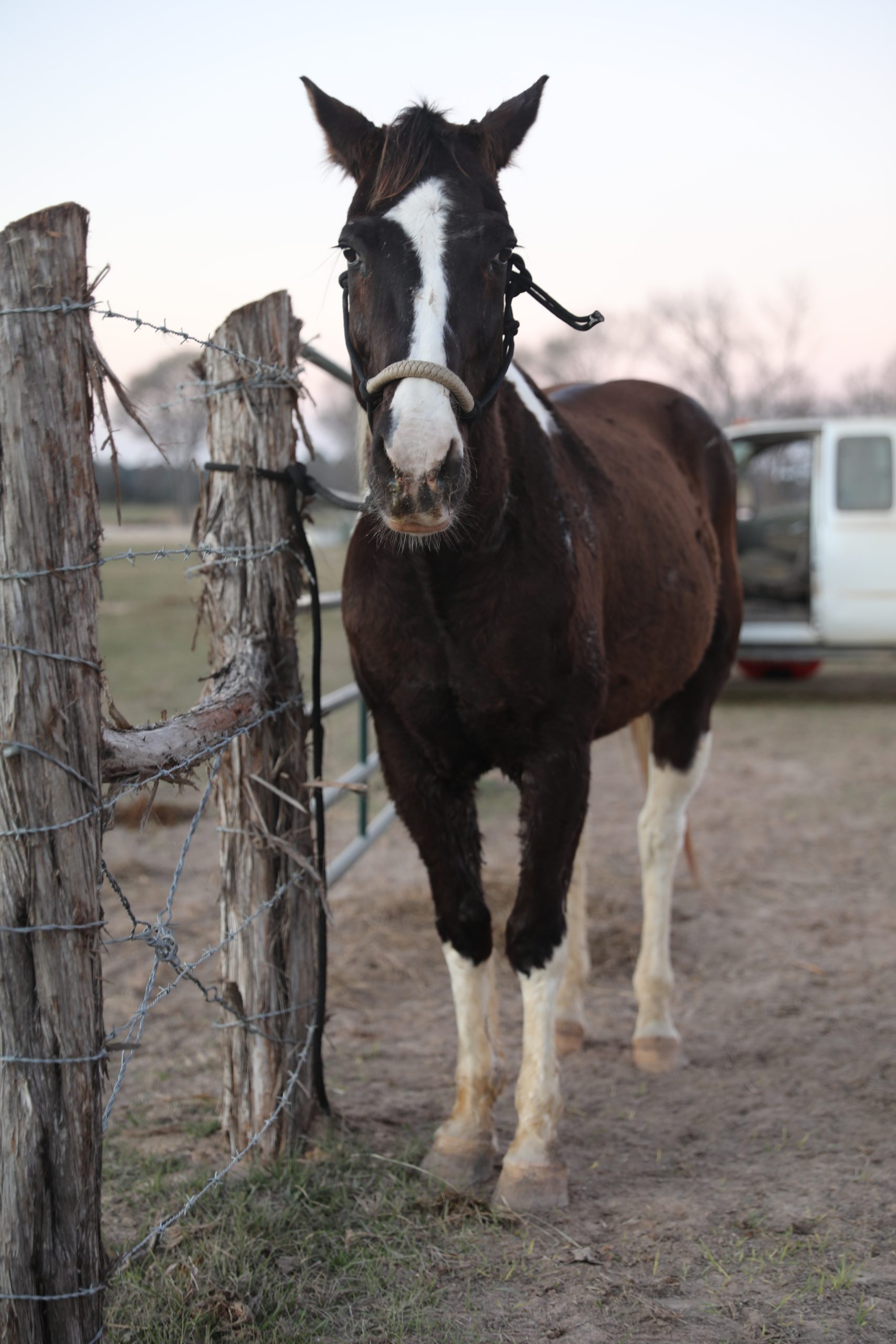 raven (copy) raven (copy)