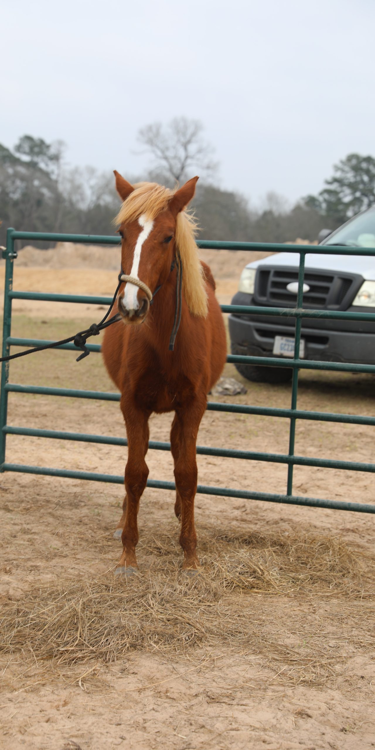 cain (copy) cain (copy)