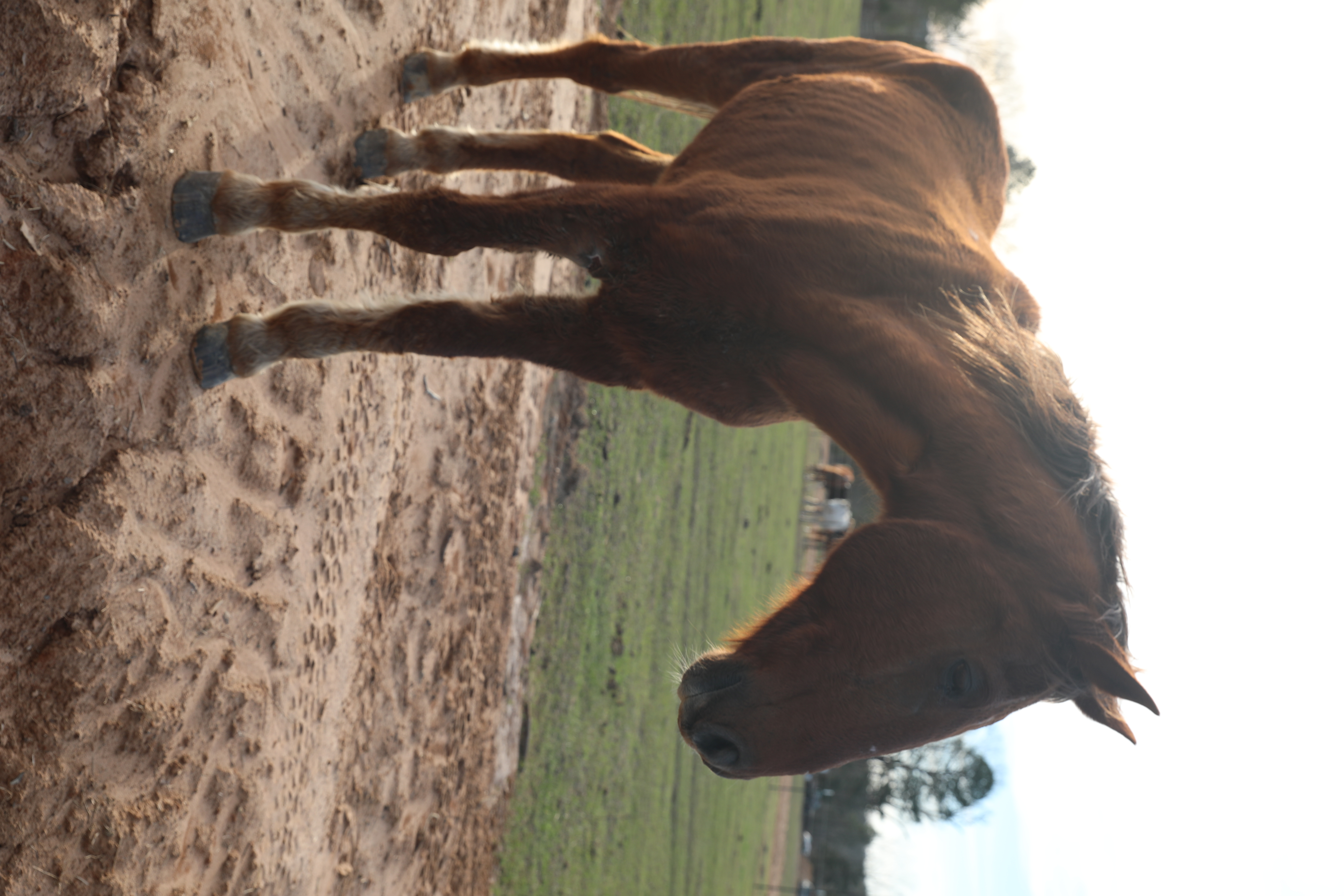 archer (copy) archer (copy)