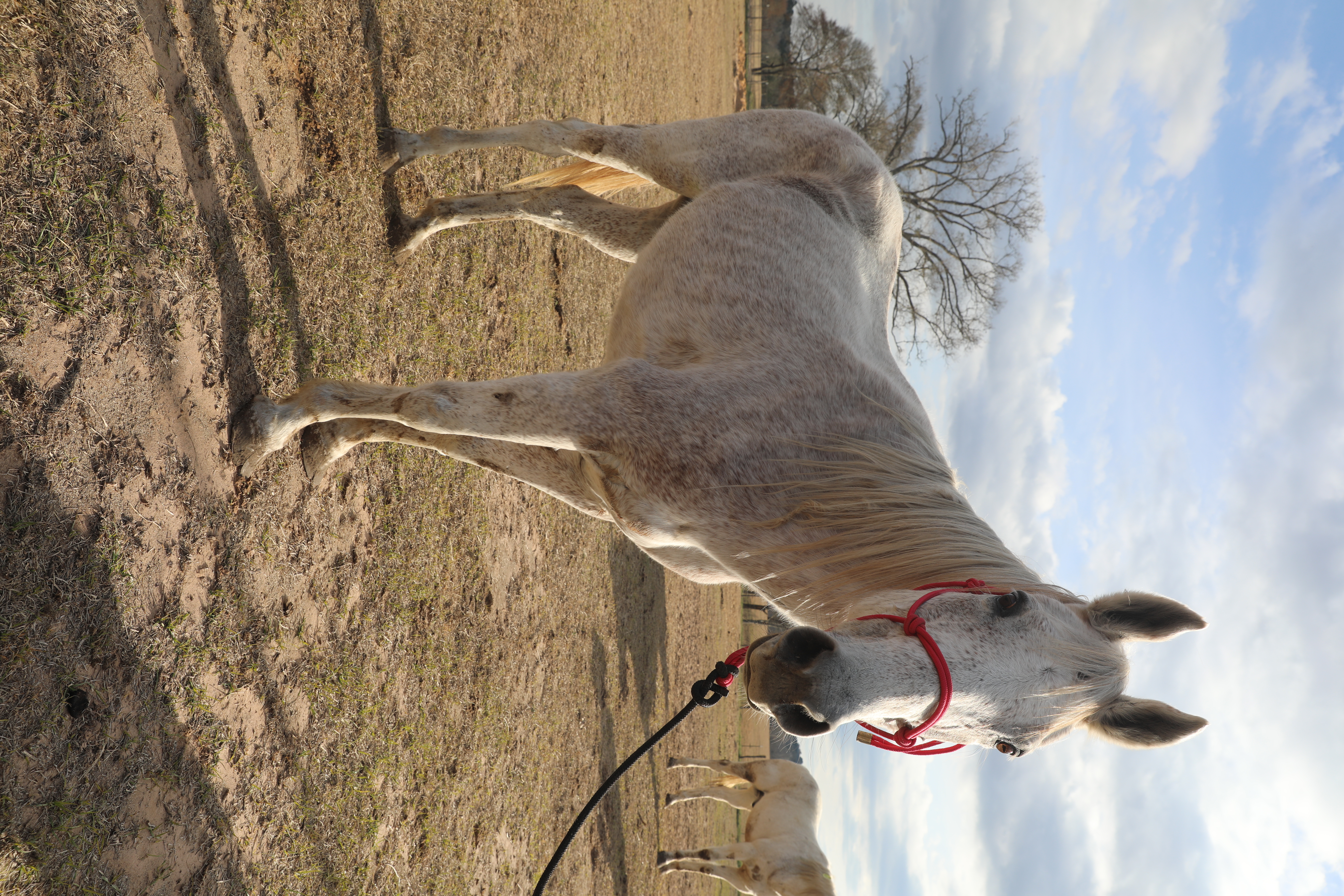 chris (copy) chris (copy)