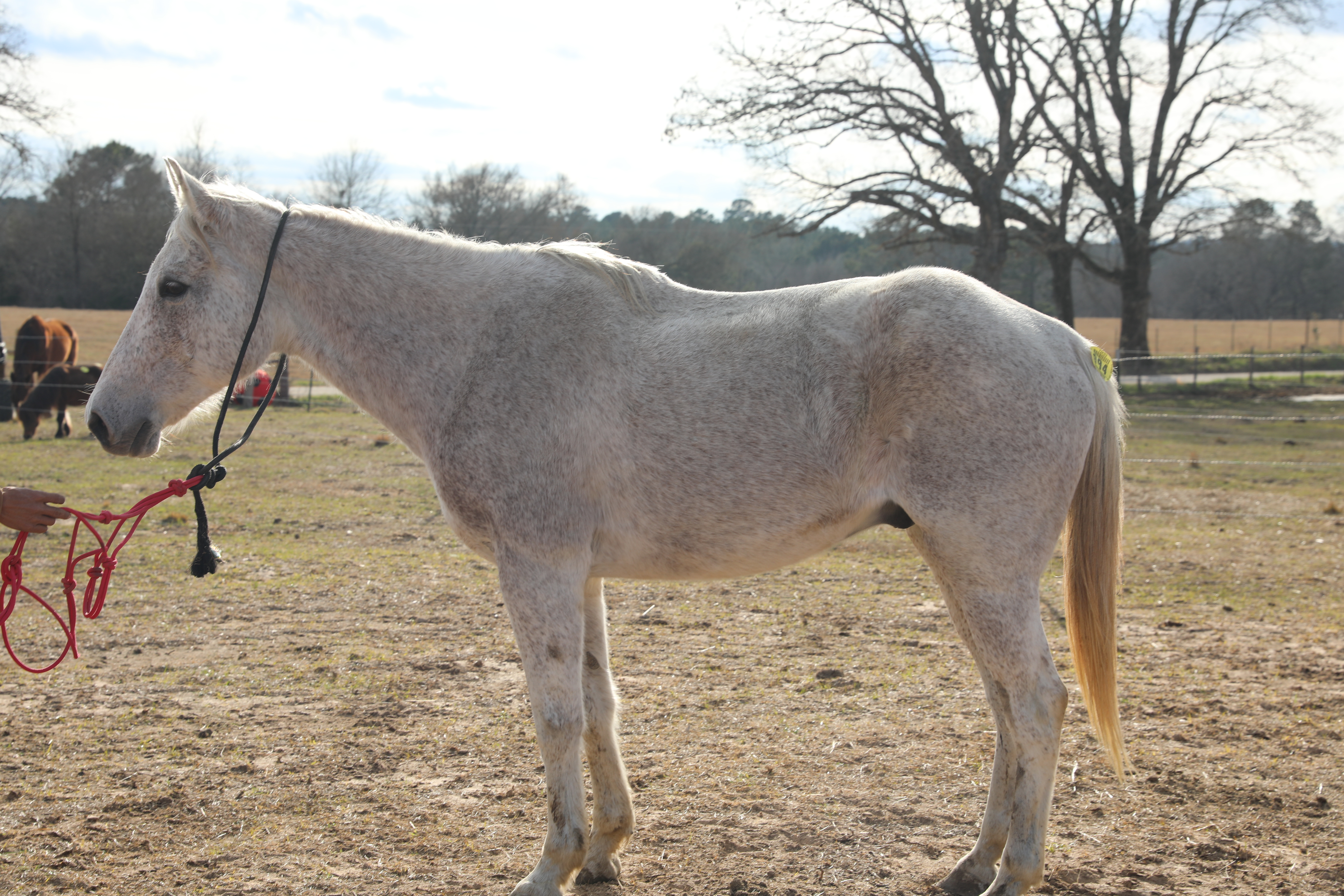 chris (copy) chris (copy)